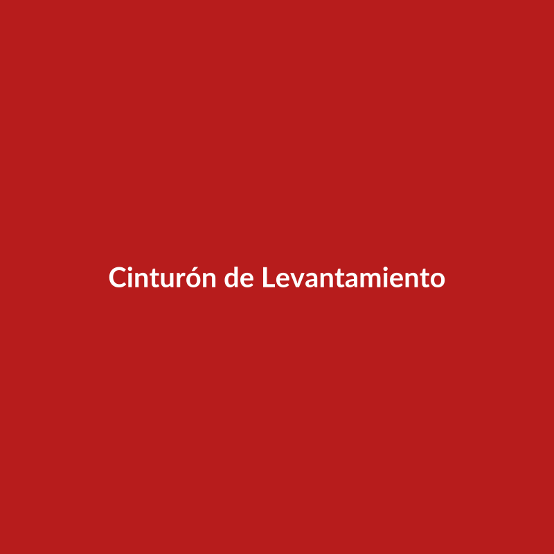 Cinturón de Levantamiento [DEMO]